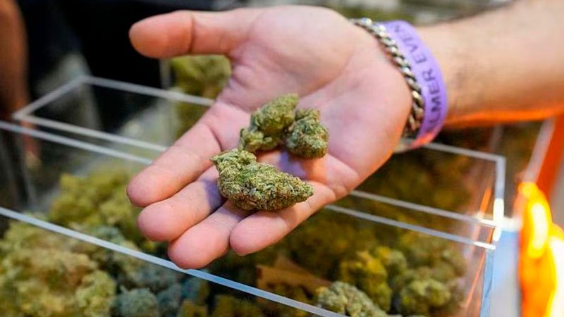 Trump amplía el acceso a la marihuana en el mayor cambio de la política de drogas de EE.UU. en décadas