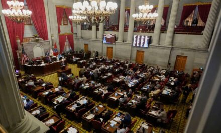 Ley sobre penalización a votos legislativos en Tn. es declarada inconstitucional