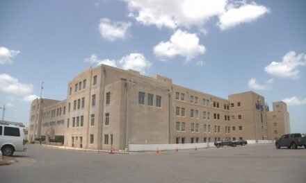 NES contrató empresas de cabildeo y consultoría tras la reacción negativa a la respuesta a la tormenta de hielo