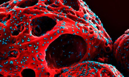 Nueva variante ‘Cicada’ de la COVID-19 se propaga en EE.UU.