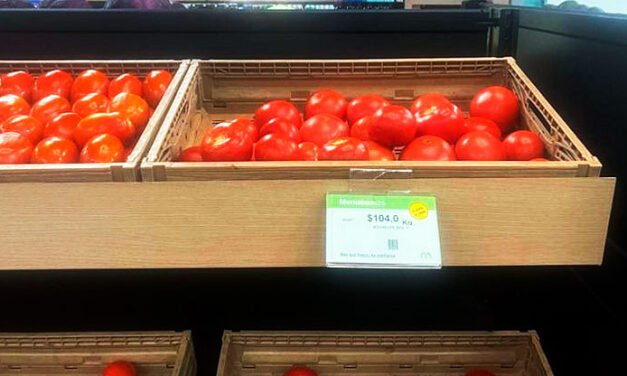 Precio del jitomate bola se dispara en Guadalajara y alcanza los 104 pesos por kilo