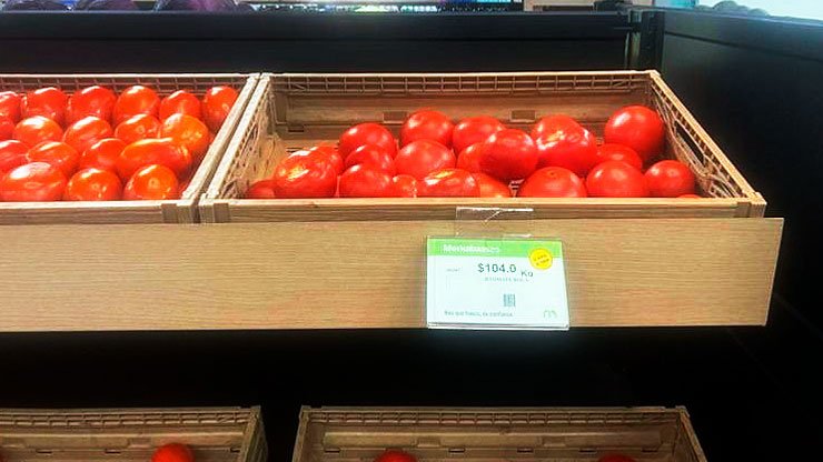 Precio del jitomate bola se dispara en Guadalajara y alcanza los 104 pesos por kilo