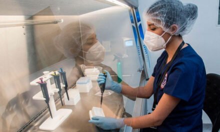 <strong>Yucatán registra primer caso de COVID-19 en lo que va de 2026</strong>