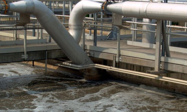 Las pruebas de detección de E. coli proveniente de fugas de aguas residuales del condado de Williamson superaron los límites permitidos.