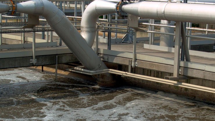 Las pruebas de detección de E. coli proveniente de fugas de aguas residuales del condado de Williamson superaron los límites permitidos.