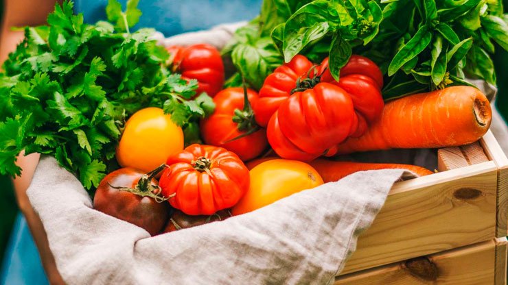 Tennessee no dará alivio fiscal en compras de alimentos durante 2026