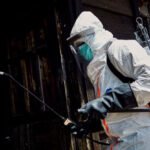 La OMS rastrea a un posible enfermo de ébola que viajó a Emiratos Árabes Unidos