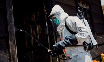 La OMS rastrea a un posible enfermo de ébola que viajó a Emiratos Árabes Unidos