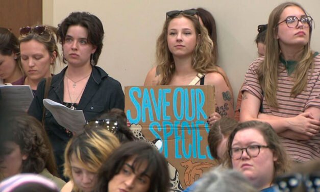 «No los queremos en ningún sitio»: Una participación histórica impulsa a Nashville a tomar medidas sobre la regulación de los centros de datos.