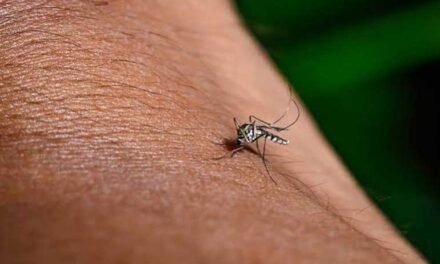 El virus del Nilo Occidental se detectó en mosquitos de Nashville por primera vez en 2026