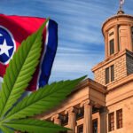 Nueva Regulación del Cáñamo en Tennessee Establece Límites al Consumo de THCA