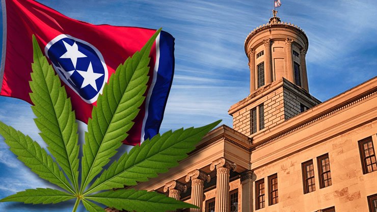 Nueva Regulación del Cáñamo en Tennessee Establece Límites al Consumo de THCA