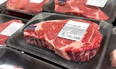 Retiran del mercado más de 76.000 kilogramos de carne con etiquetas de inspección falsas en todo EE.UU.